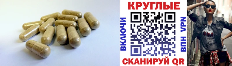 дарнет шоп  Новокубанск  мориарти как зайти  Экстази VHQ 