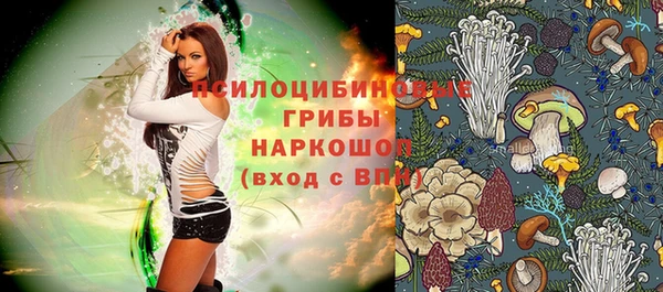 mix Алексин