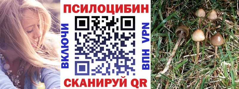 Галлюциногенные грибы ЛСД  наркотики  блэк спрут зеркало  Новокубанск 