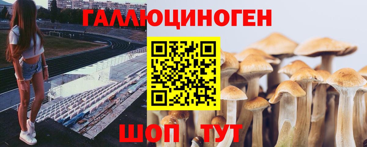 Псилоцибиновые грибы прущие грибы  закладка  Новокубанск  Псилоцибиновые грибы MAGIC MUSHROOMS  Вход с VPN 